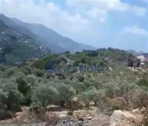 Land for Sale in Deir El Amar — photo 4