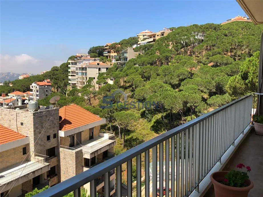 Apartment for Rent Furnished in Baabdat