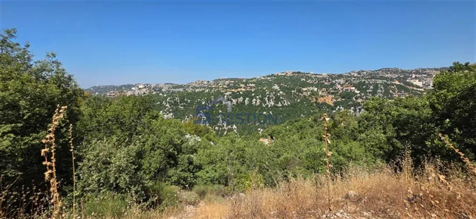 Land for Sale in Kfardebian — photo 4