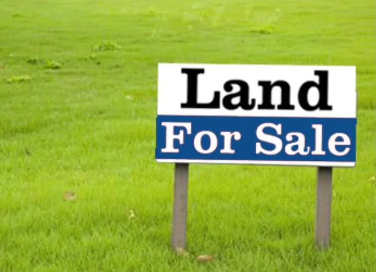 Land for Sale in Kanat Bakich — photo 2