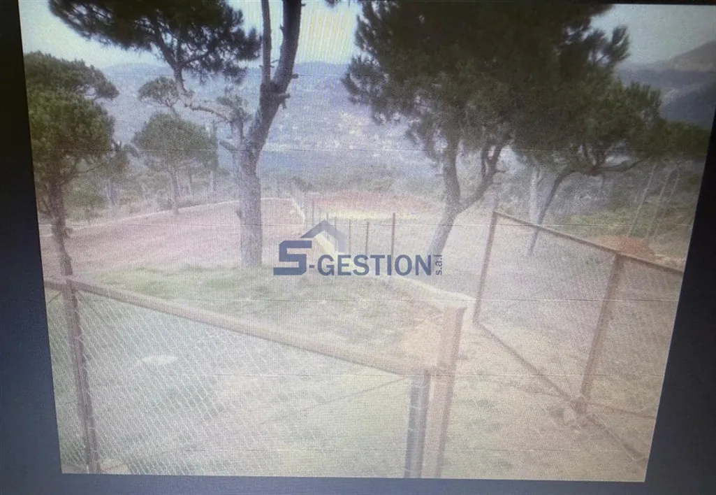 Land for Sale in Baskenta — photo 2