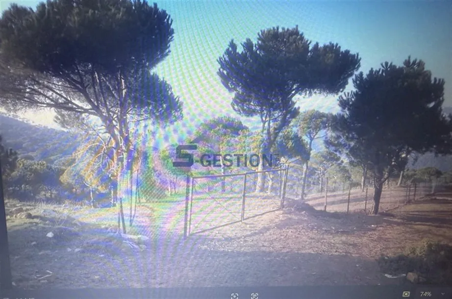 Land for Sale in Baskenta — photo 3