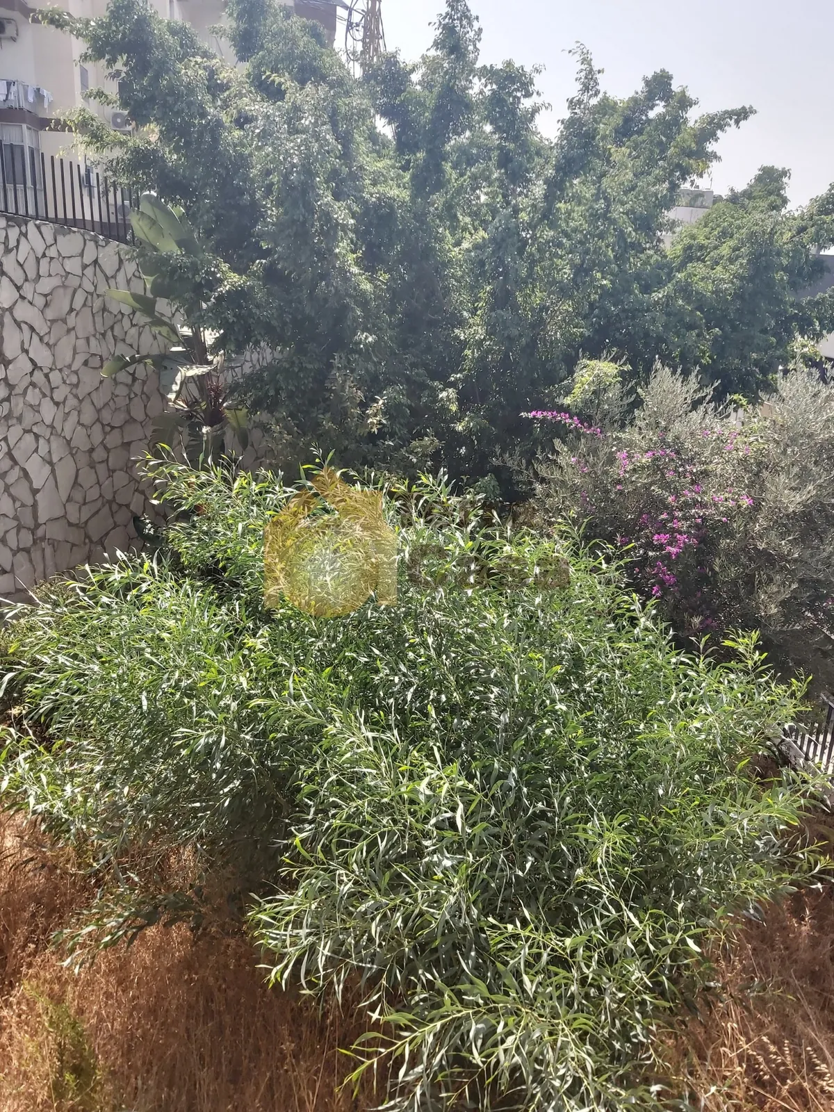 Dbayeh apartment for Sale with 225 sqm terrace and garden #1924 — photo 3