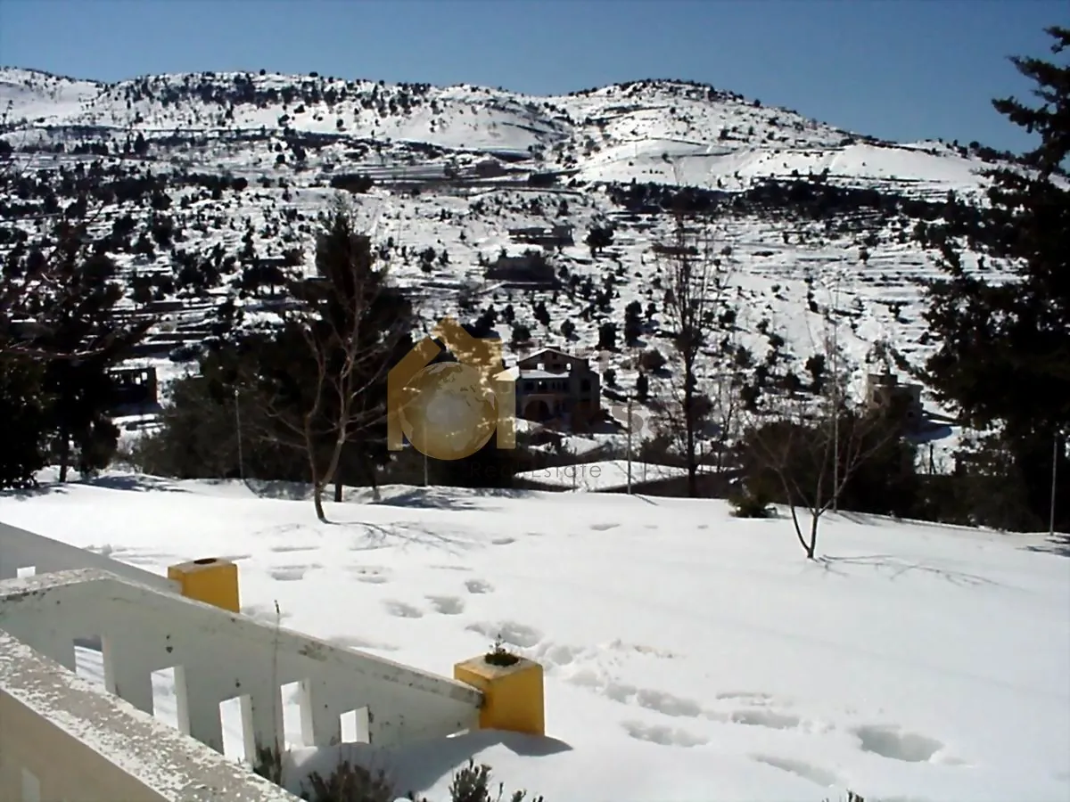 Lehfed villa nice location swimming pool cash payment #2709