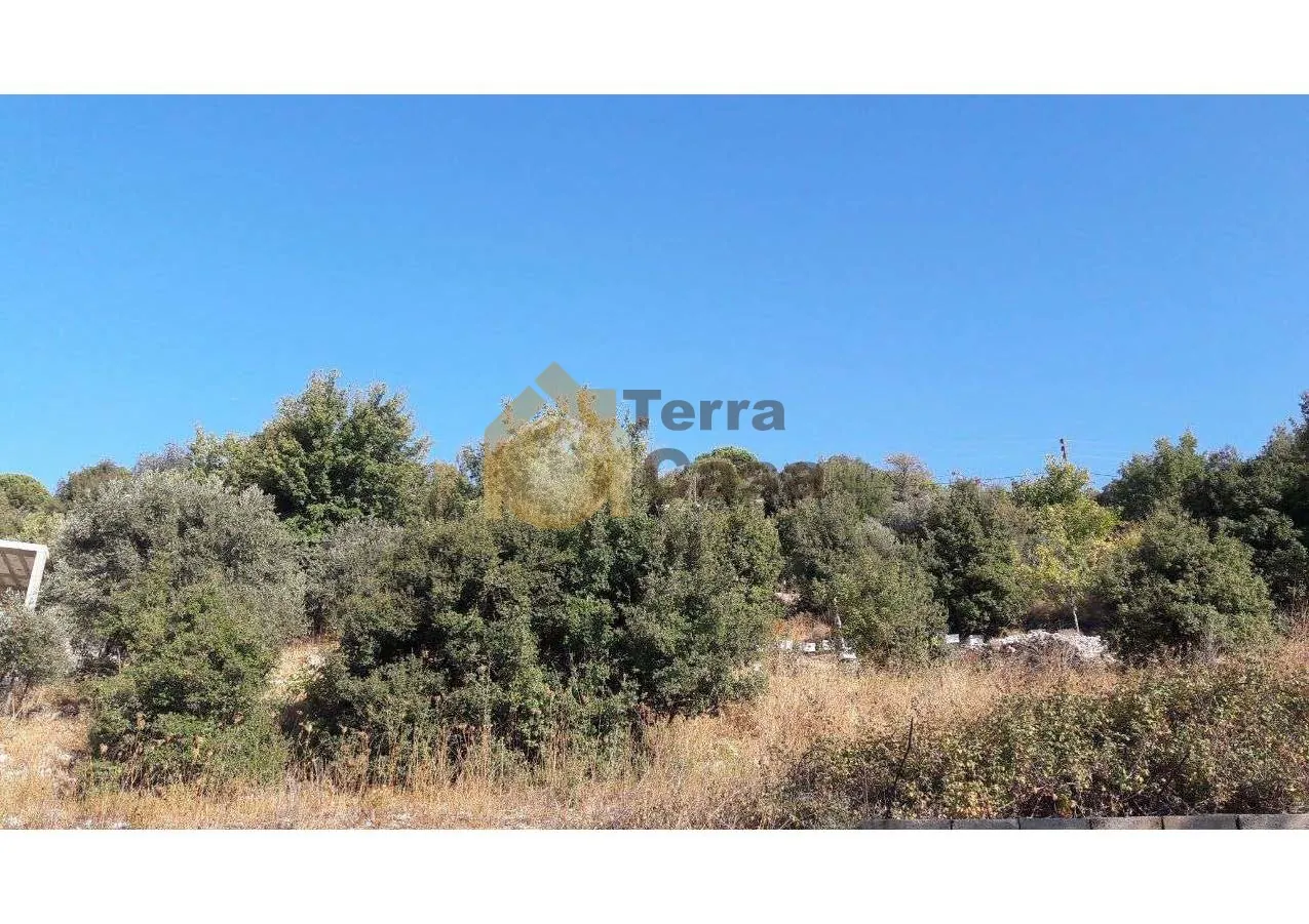 Land for Sale in Lehfed located in calm area mountain view #3047