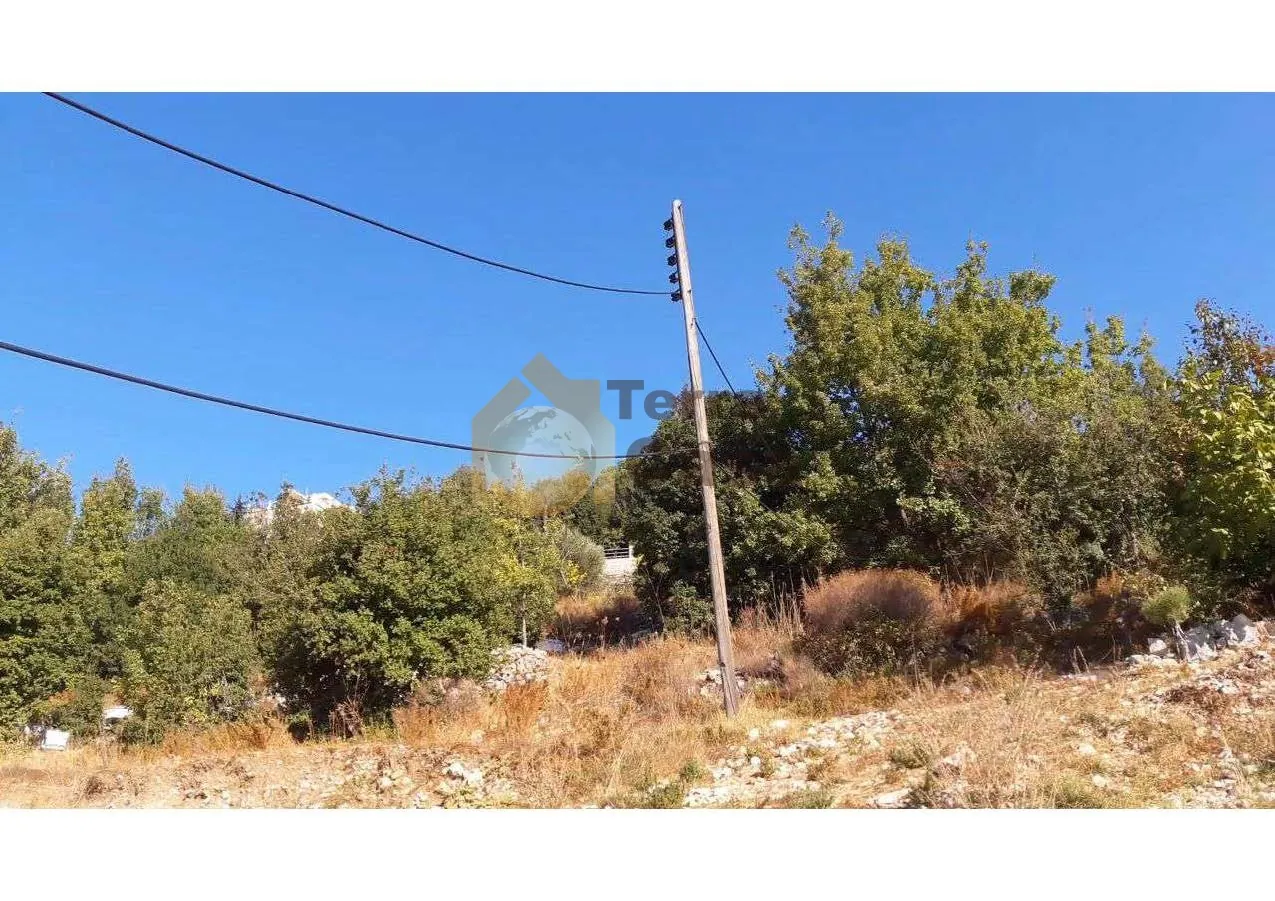 Land for Sale in Lehfed located in calm area mountain view #3047 — photo 2