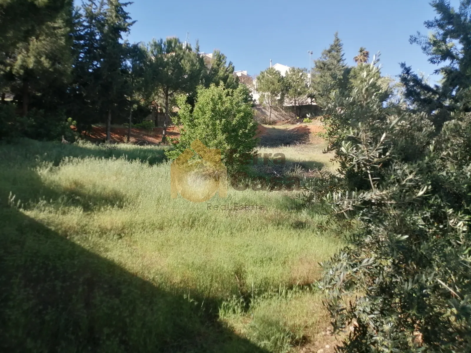 Zahle ksara land 1215 sqm prestigious neighborhood for Sale #4034