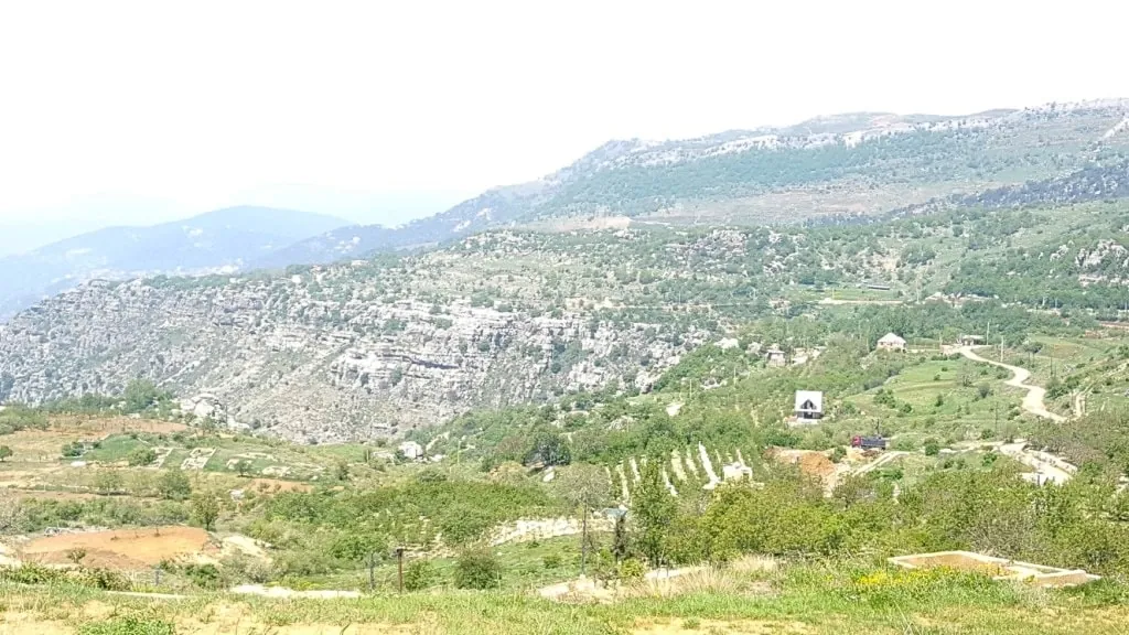 Large Land at Sanine Baskinta Mountain for Sale Ref# ag-1272-22 — photo 4