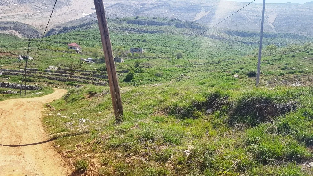 Large Land at Sanine Baskinta Mountain for Sale Ref# ag-1272-22 — photo 5