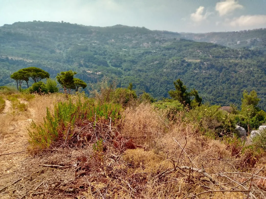 Monteverde 1295 sqm land for Sale with construction permit #5379