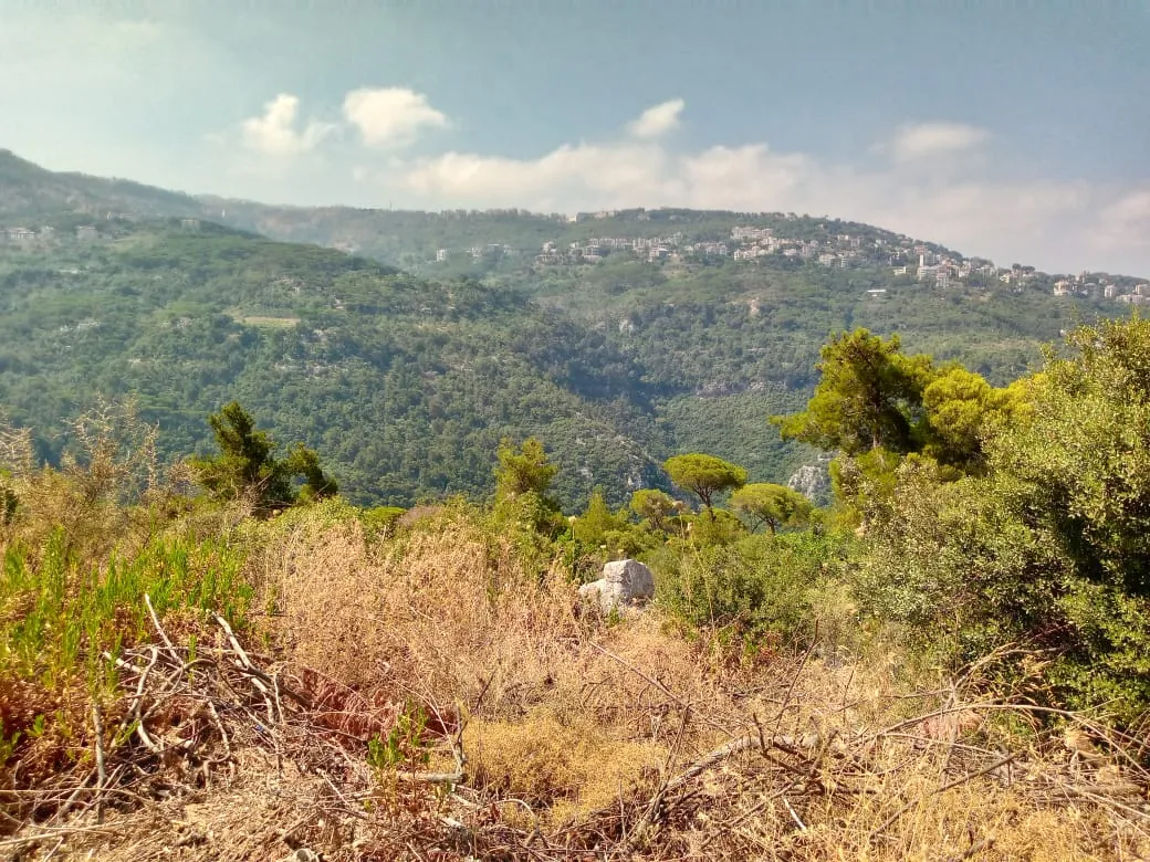 Monteverde 1455 sqm land for Sale with construction permit #5380 — الصورة 2