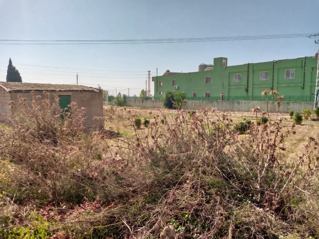 Haouch el omara land 3700 sqm zone G for Sale near highway Ref#5746 — photo 2