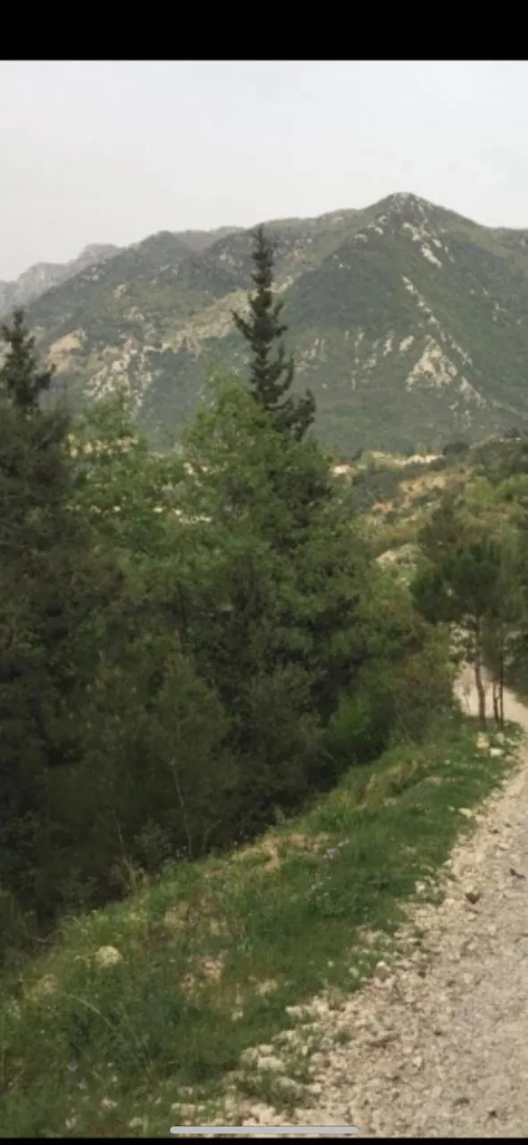 Yahchouch 850 sqm land for Sale open panoramic view Ref#5897 — photo 2