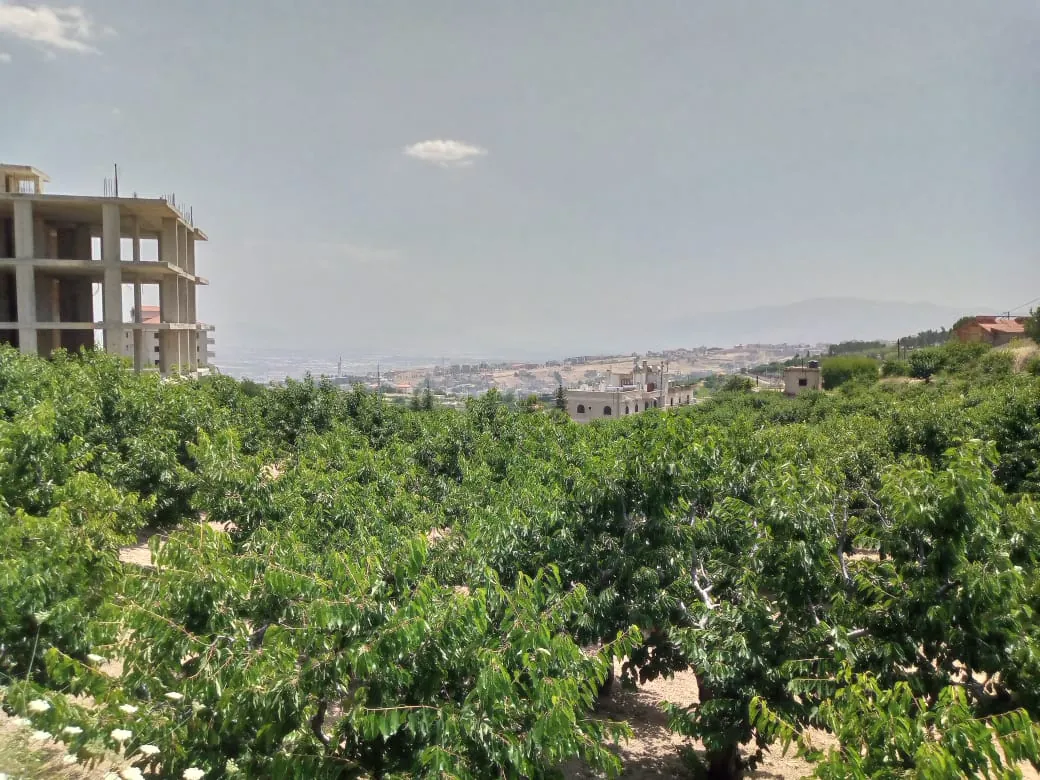 Zahle wadi el arayesh land 2900 sqm for Sale panoramic view Ref#5981 — photo 3