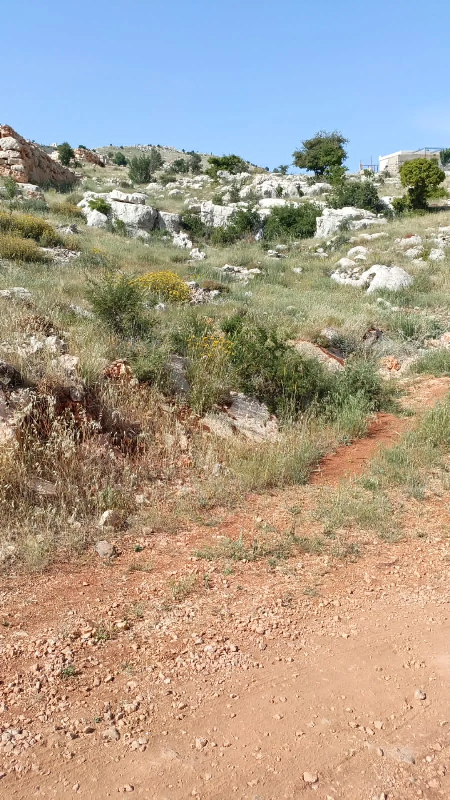 Zahle qaa el rim 860 sqm land for Sale Ref#6154