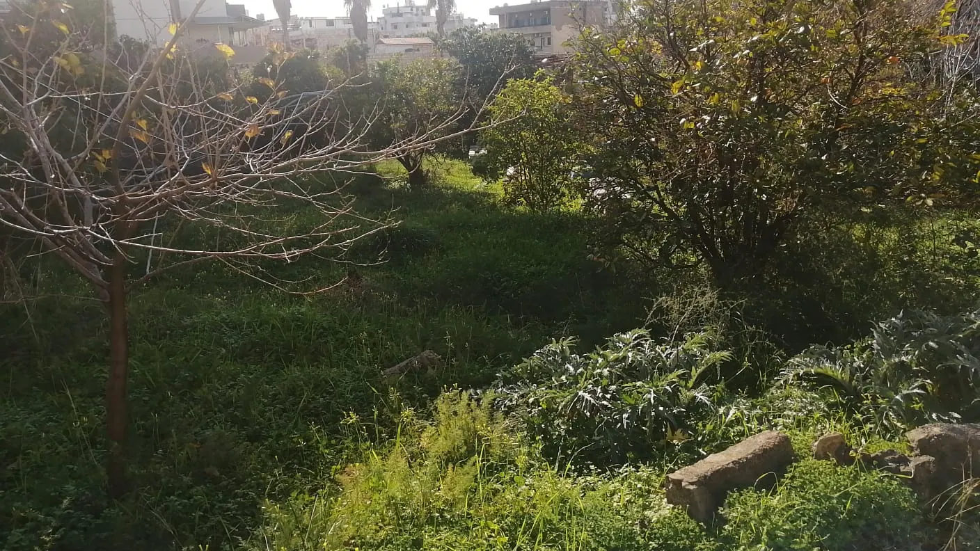 Land 1032 sqm for Sale in Jdeideh Ref#6514