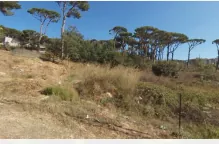 Wata el mrouj (bolonia) land 880 sqm prime location #6589