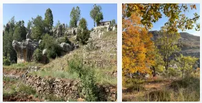 Zaarour land 12,112 sqm for Sale includes a built mountain cabin #6592