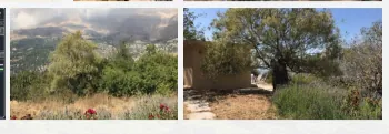Zaarour land 16,000 sqm for Sale includes a built mountain cabin #6593 — photo 2