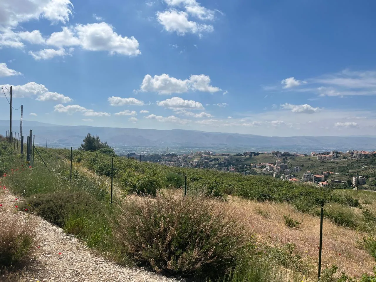 Zahle dhour land 1300 sqm for Sale panoramic view #6615 — photo 4