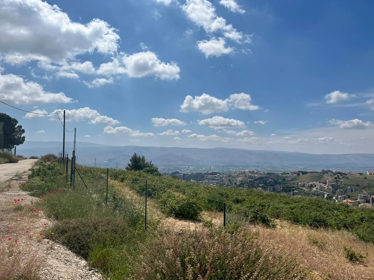 Zahle dhour land 1300 sqm for Sale panoramic view #6615 — photo 5