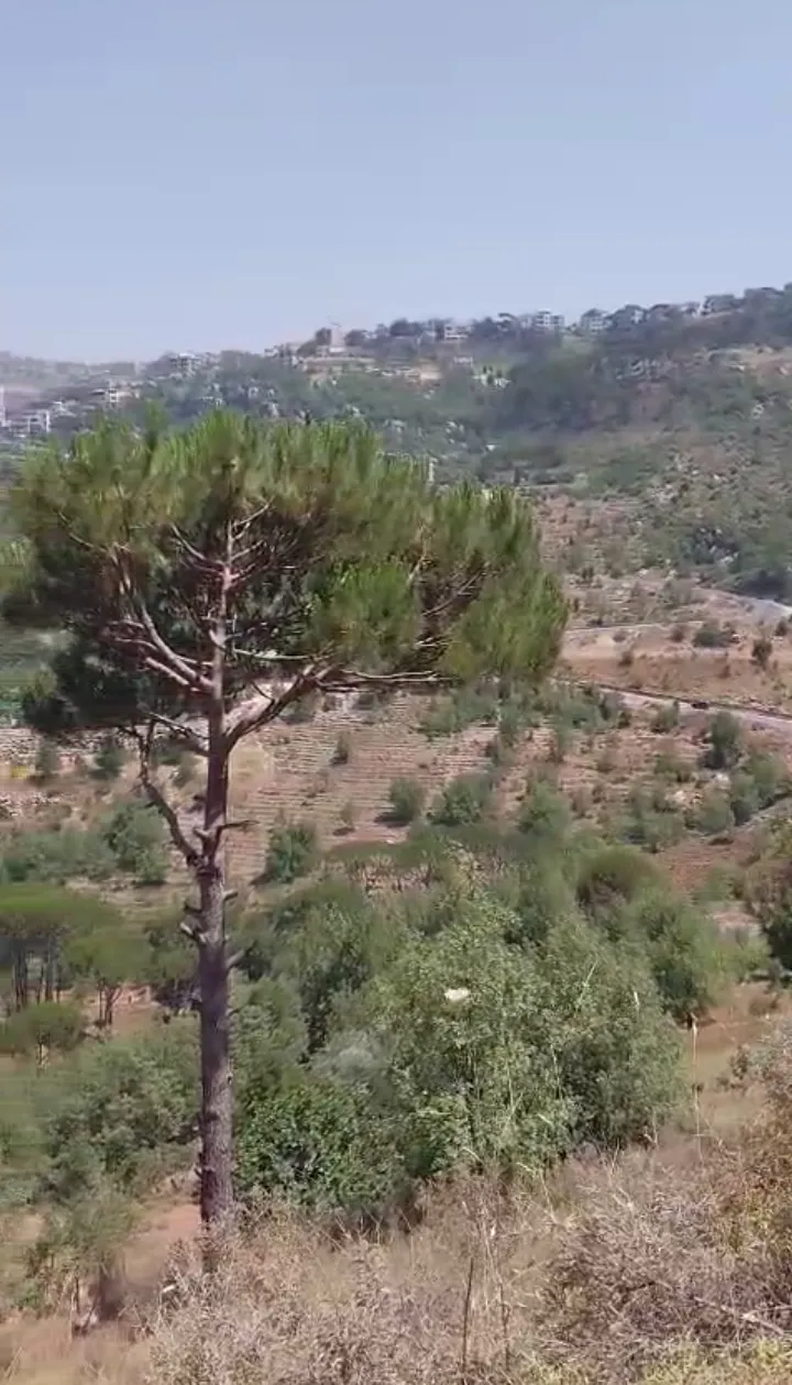 Khenchara / bolonia land 935 sqm for Sale #6634