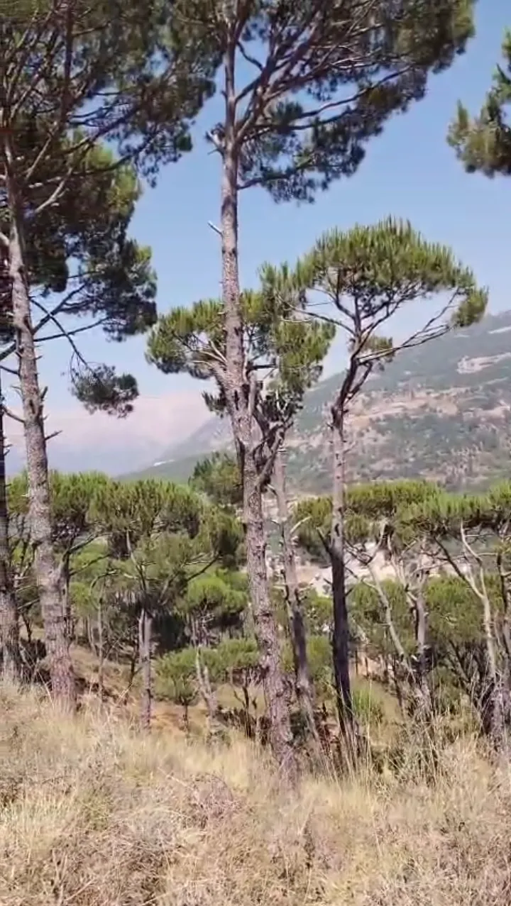 Khenchara / bolonia land 935 sqm for Sale #6634 — photo 3