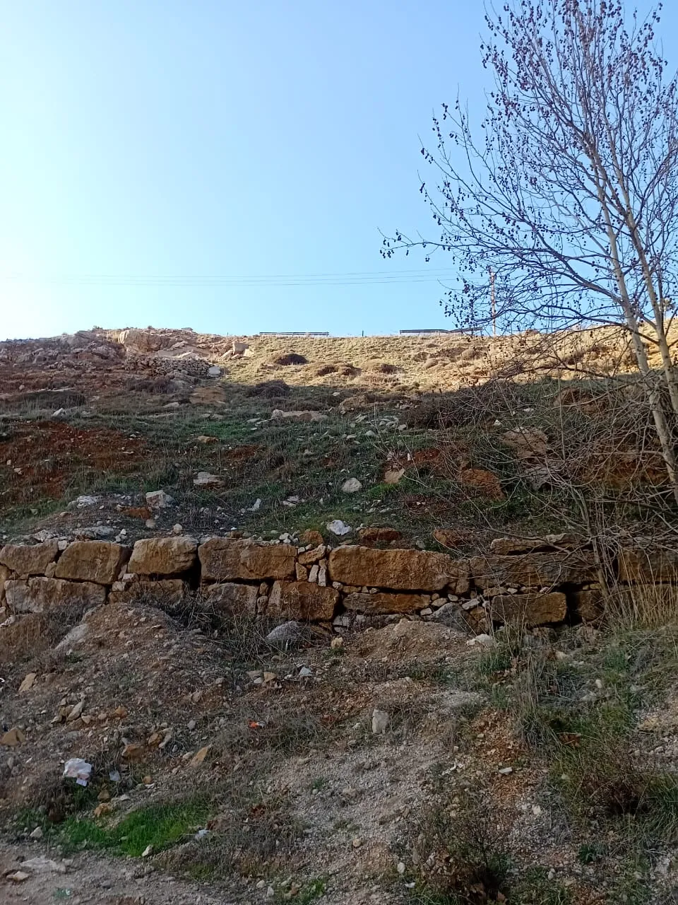 Hammana land 7,318 sqm, net 4,961 sqm for Sale good location #6672 — photo 4