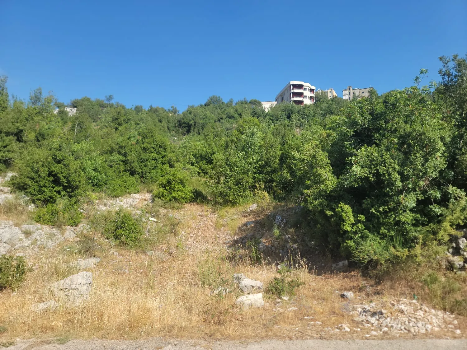 Achkout land 1228 sqm for Sale open mountain view #6680 — photo 2
