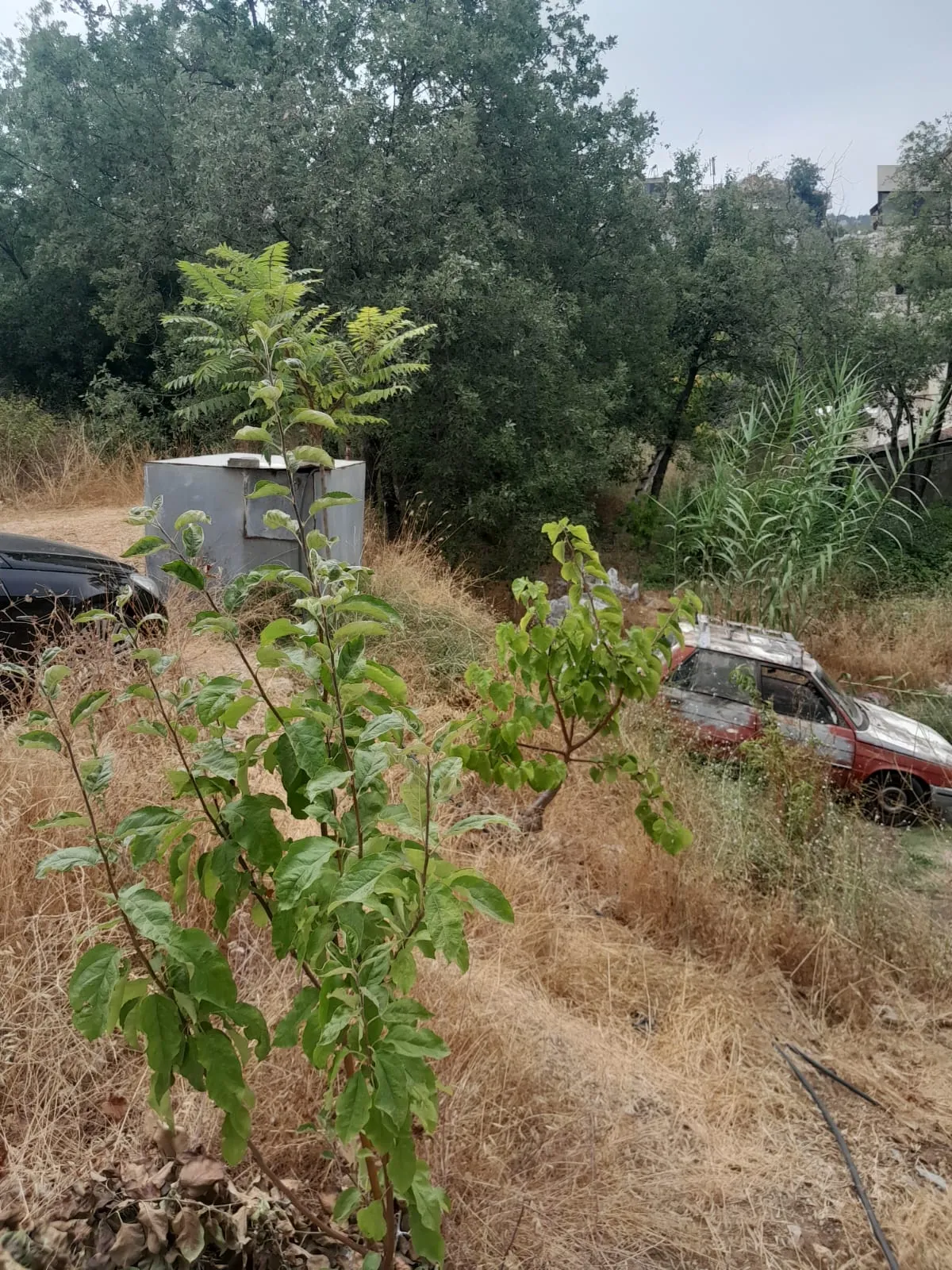 Land 576 sqm in the heart of klayaat for Sale #6690 — photo 2