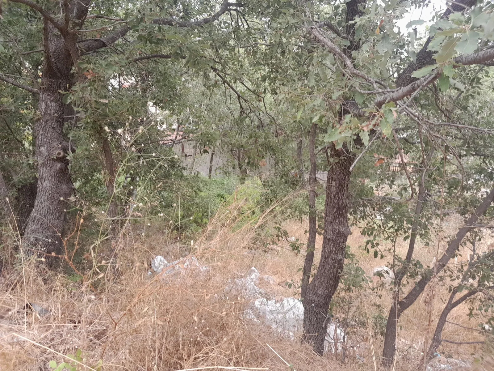Land 576 sqm in the heart of klayaat for Sale #6690 — photo 4