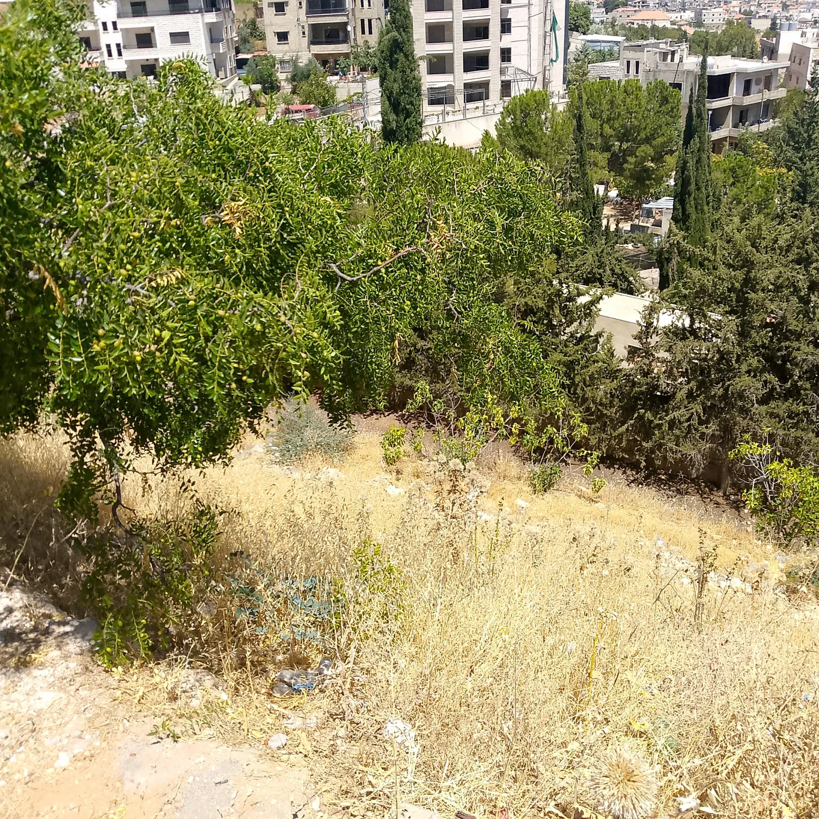 Maalaka land 1,005 sqm for Sale open view #6708 — الصورة 3