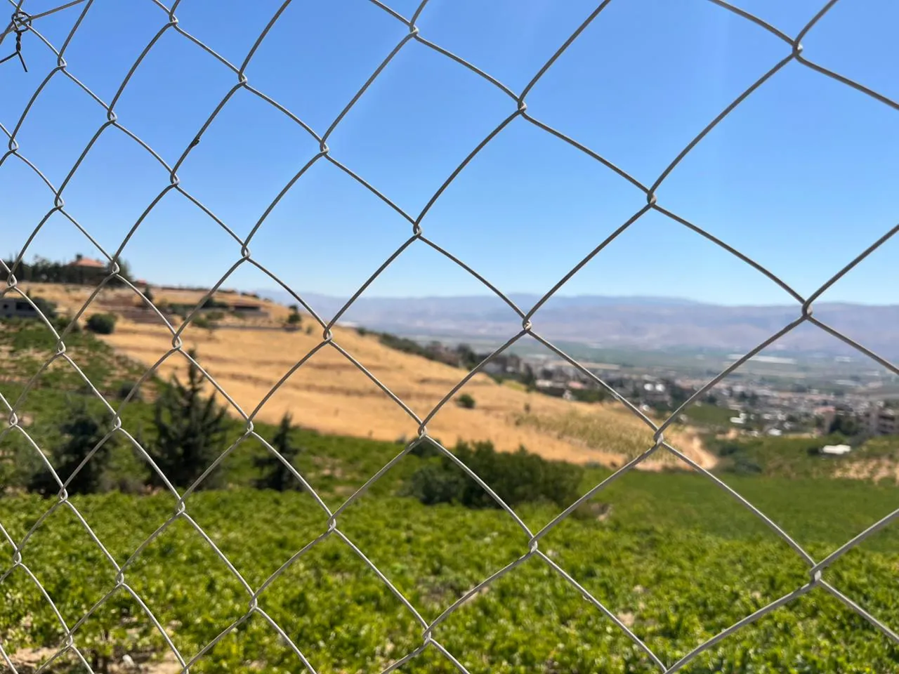 Maalaka aradi land 5996 sqm for Sale #6725