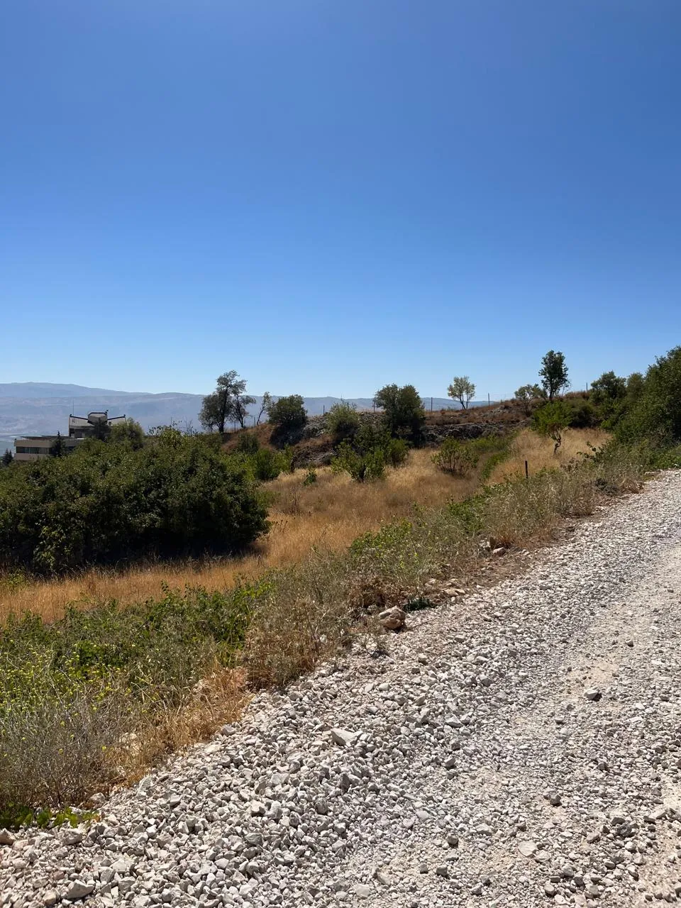 Hazzerta land 881 sqm for Sale #6726