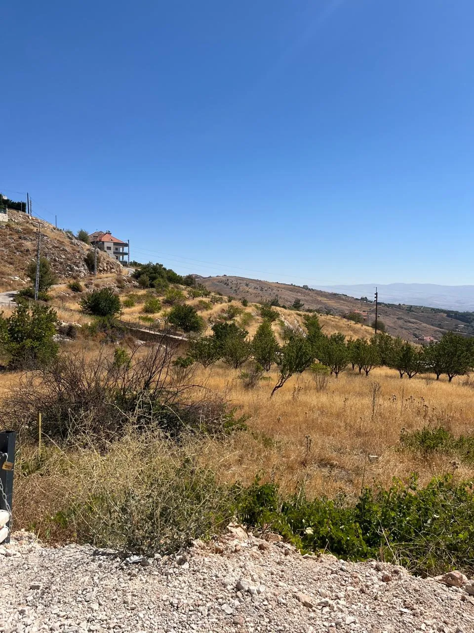 Hazzerta land 881 sqm for Sale #6726 — photo 2