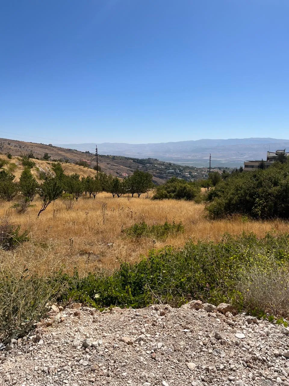 Hazzerta land 881 sqm for Sale #6726 — photo 3