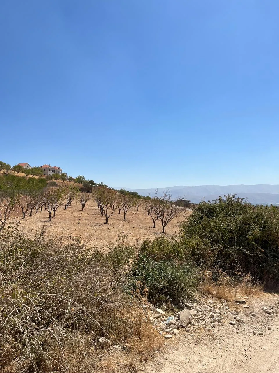 Maalaka aradi land 2198 sqm for Sale #6744