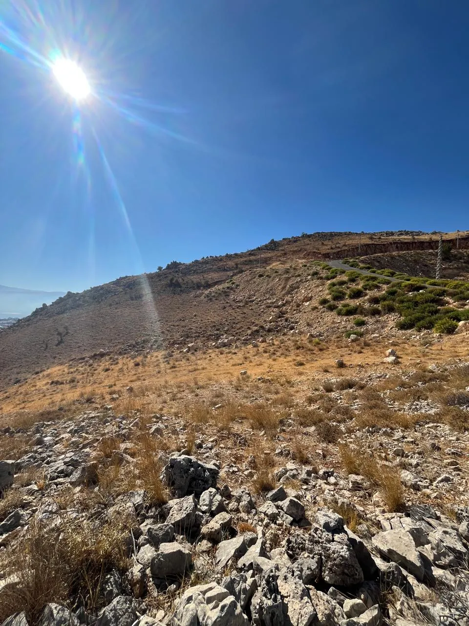 Zahle hazzerta land 2000 sqm for Sale #6756 — photo 2