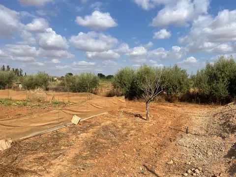 Spain get your residency! townhouse with a large plot 98580376 — photo 3