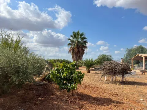 Spain get your residency! townhouse with a large plot 98580376 — photo 5