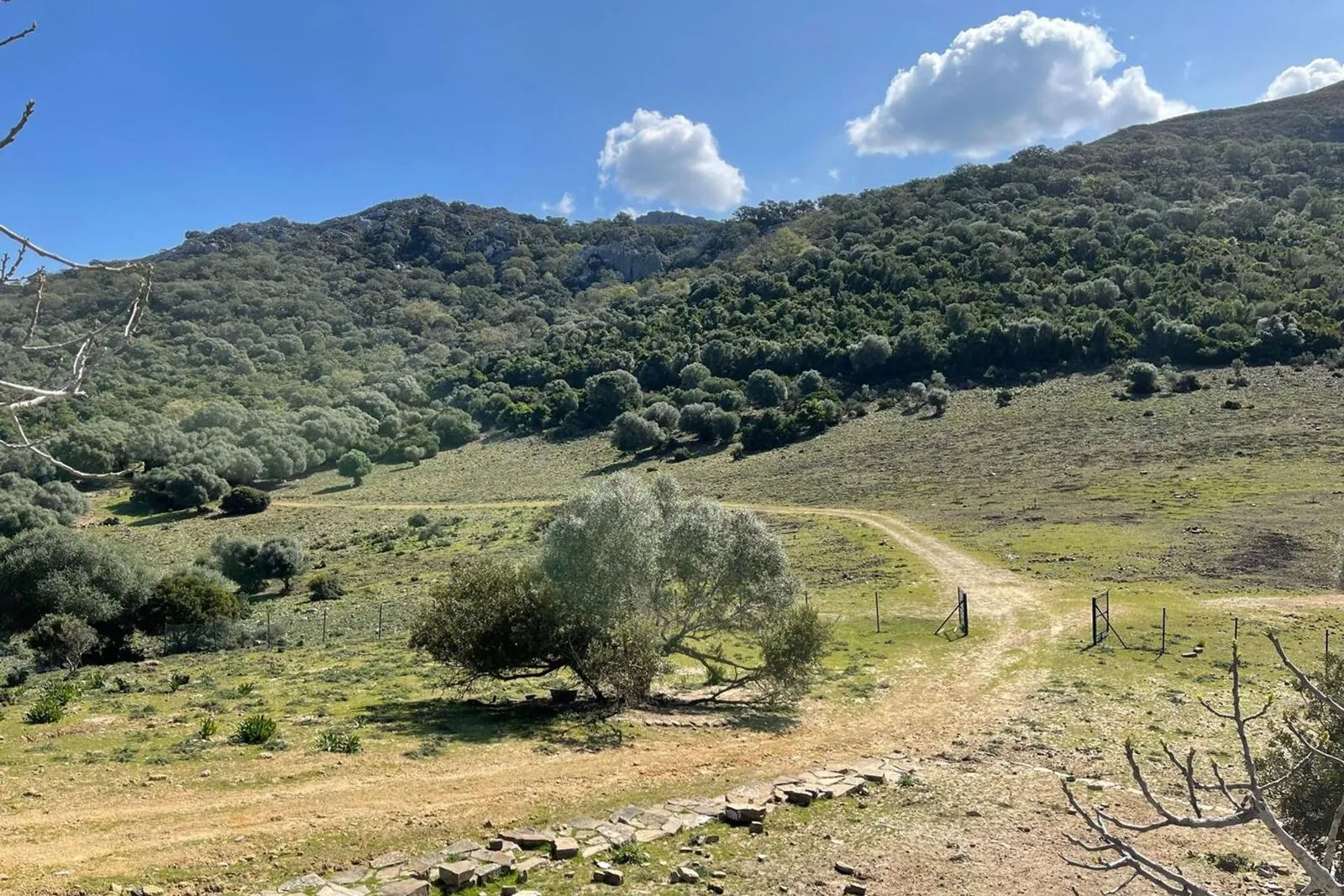 Spain Get your residency! exclusive estate with lake access SPCRM3116 — الصورة 5