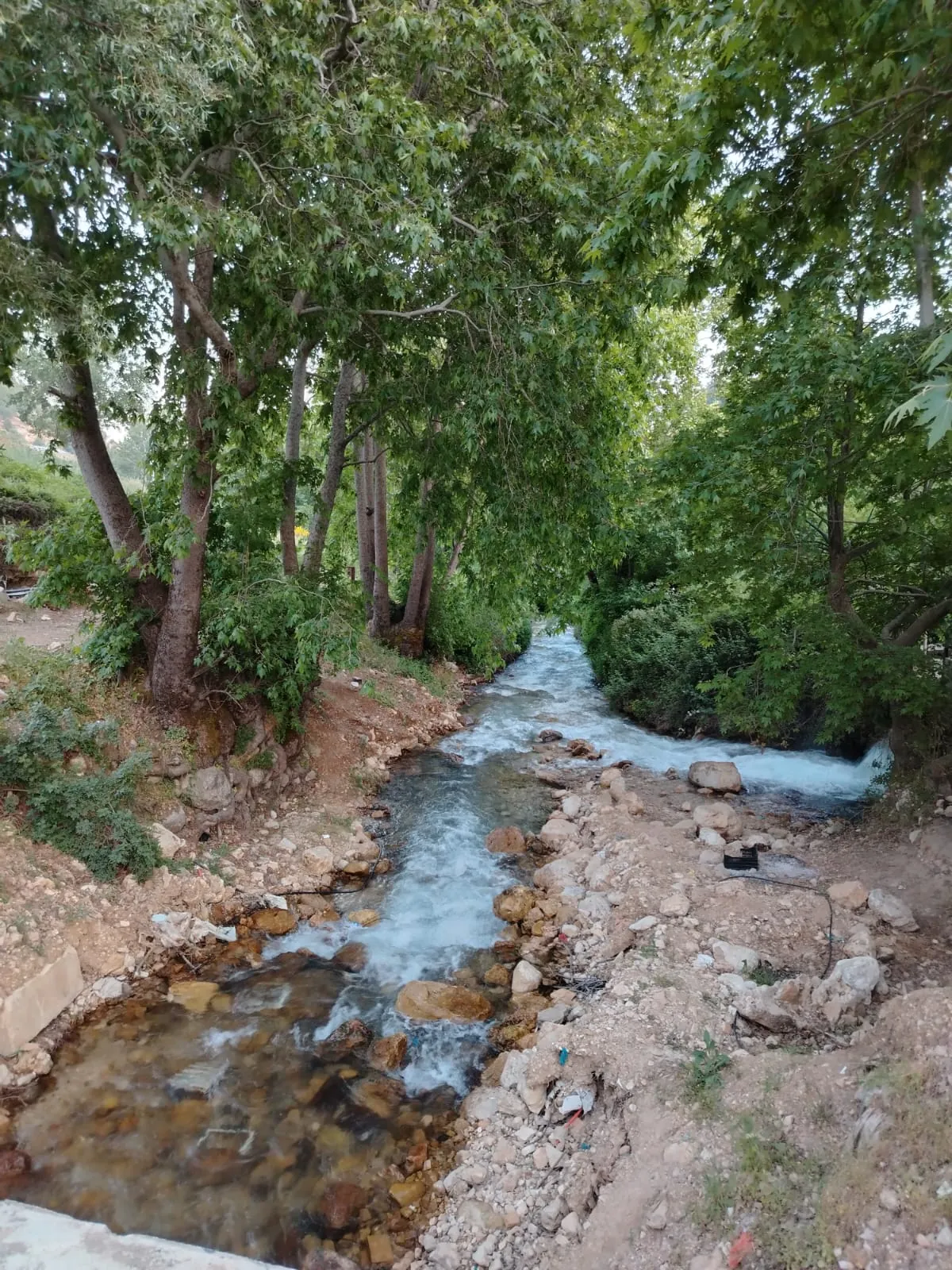 Qaa el rim land 950 sqm for Sale, on the border to the river #6936
