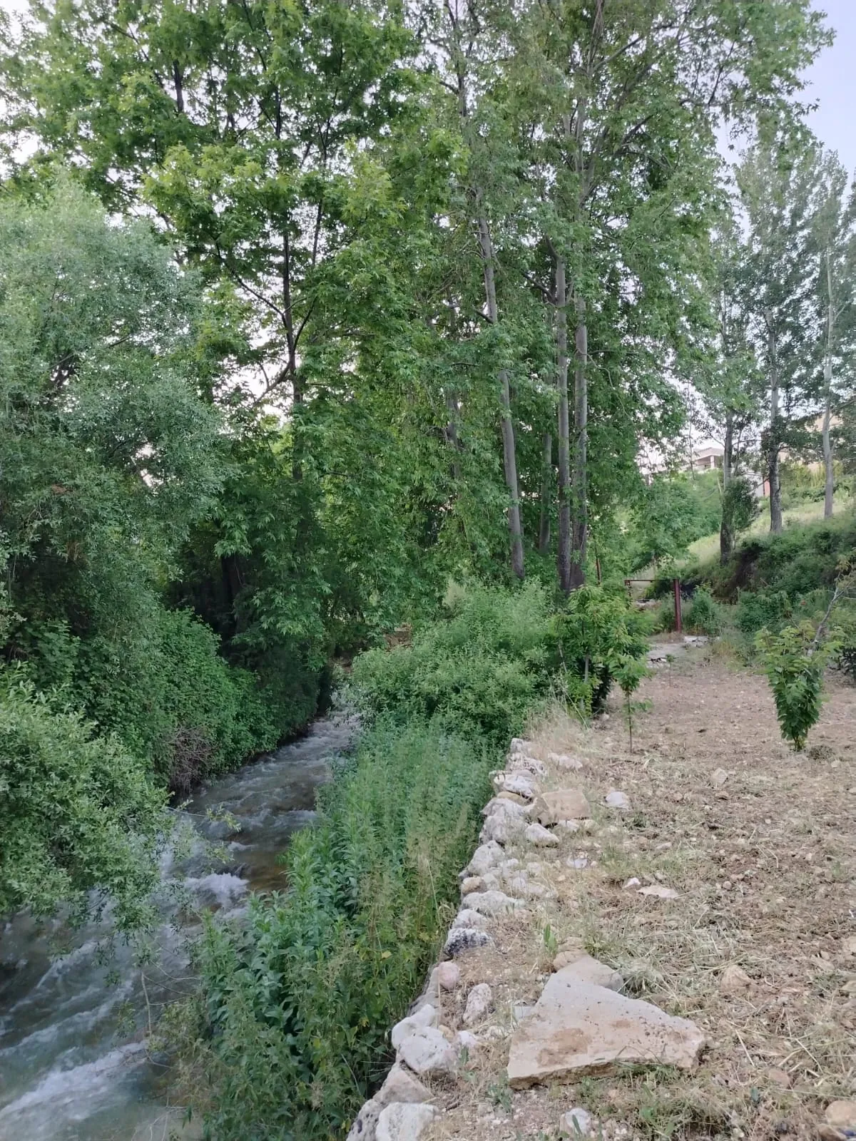 Qaa el rim land 950 sqm for Sale, on the border to the river #6936 — photo 3