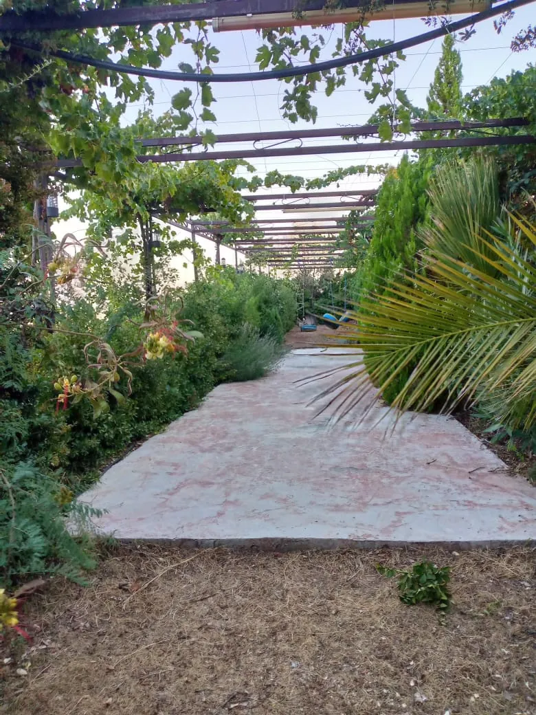 Zahle Luxurious Fully Decorated Villa + garden for Rent panoramic view #6949 — photo 2