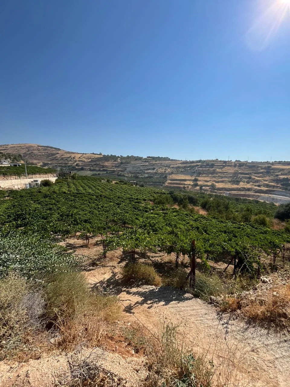 Maalaka aradi land 2176 sqm for Sale open view #6971 — photo 4