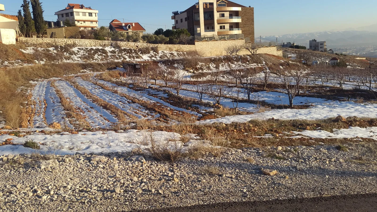 Zahle dhour land 1,498 sqm for Sale #6995 — photo 2