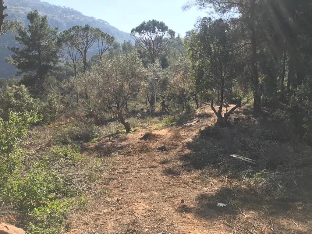 Land for Rent in Beit Mery — الصورة 2