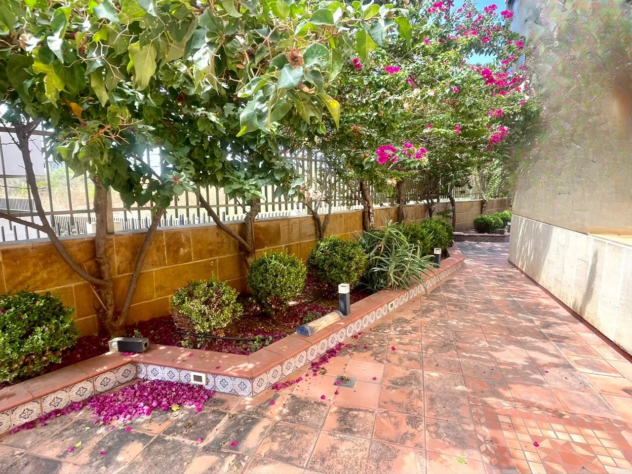 Luxurious Apartment for Sale in Adma — الصورة 3