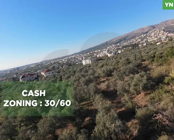 LAND/ Zgharta