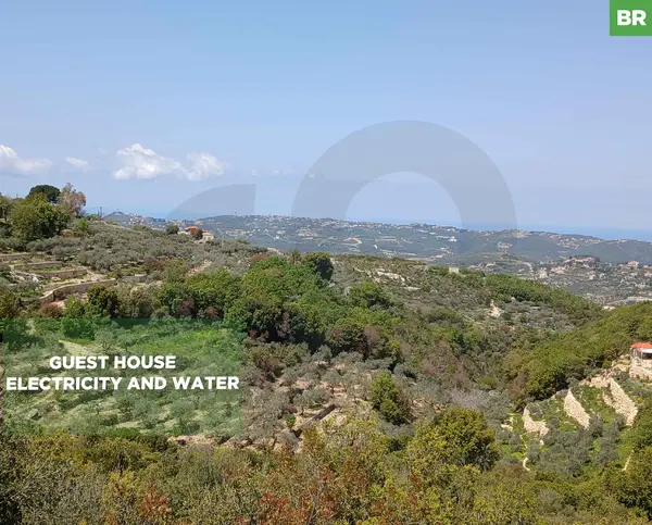 LAND /Batroun / zoning:25/50